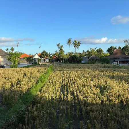 Munay Villa Ubud (Bali) Exterior photo