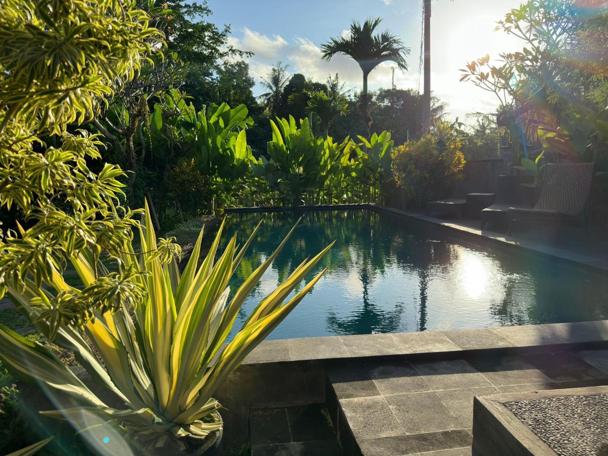 Munay Holiday home Ubud (Bali)