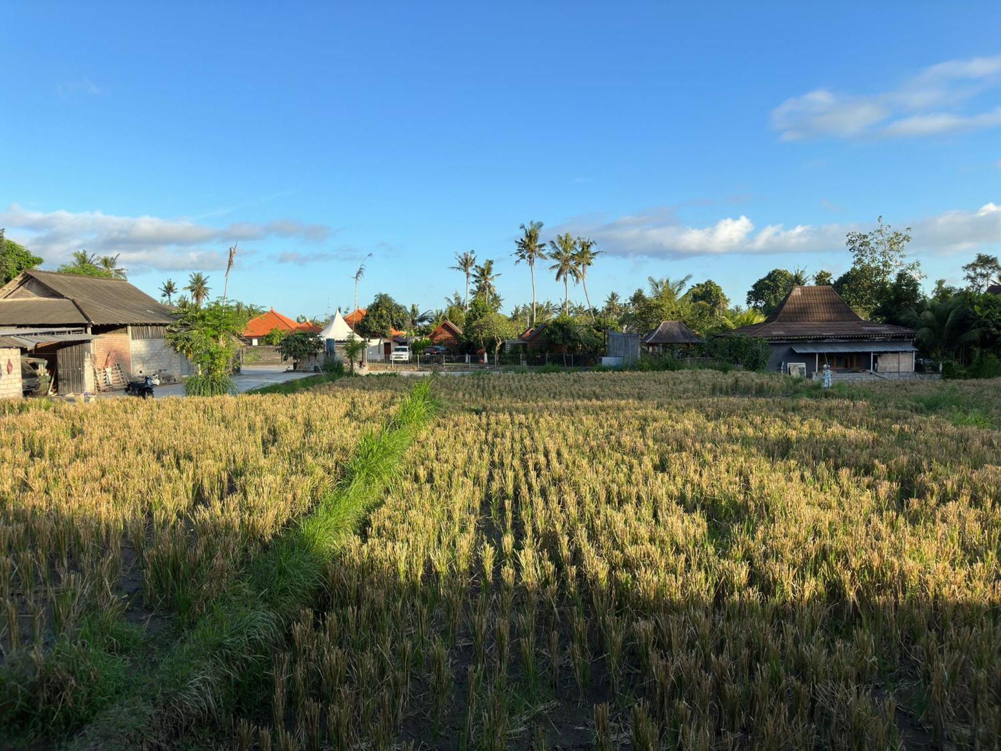 Munay * Ubud (Bali)
